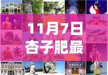 探寻杏子肥的秘密,小巷深处的味觉盛宴(最新杏子肥报道)