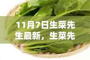 生菜先生11月7日的奇妙日常,温馨篇章新篇开启