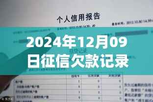 关于征信欠款记录的实时查询流程指南，以2024年12月9日征信欠款记录的实时性解析