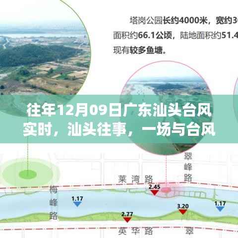 广东汕头往事,台风中的温情日常与勇敢共舞