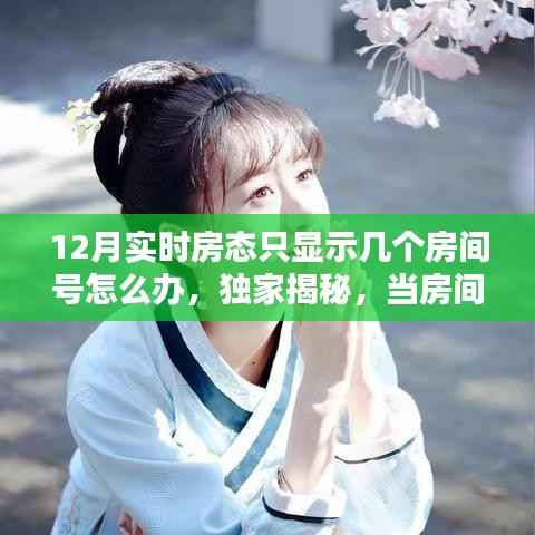 独家揭秘，如何应对十二月实时房态房间号神秘消失，友情与家的温暖照亮寒冬之旅