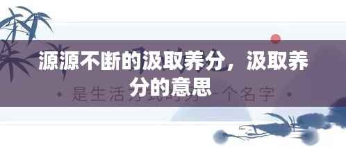 源源不断的汲取养分，汲取养分的意思 
