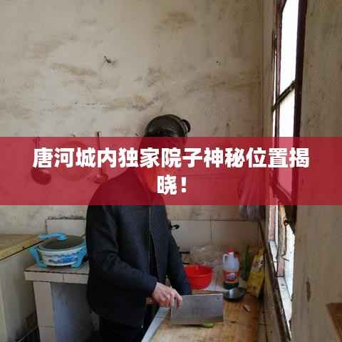 张灯挂彩 第3页