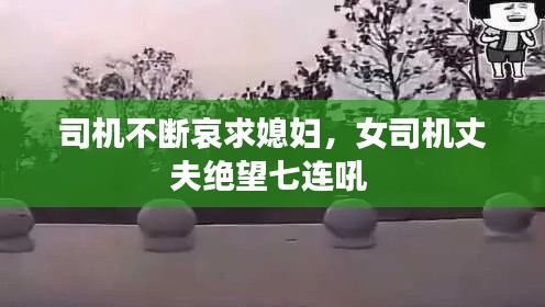 司机不断哀求媳妇，女司机丈夫绝望七连吼 