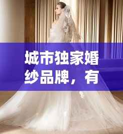 驾轻就熟 第3页