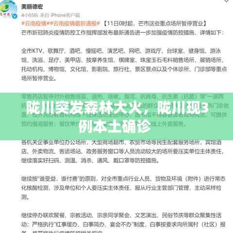 陇川突发森林大火，陇川现3例本土确诊 