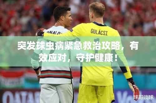突发球虫病紧急救治攻略,有效应对,守护健康!