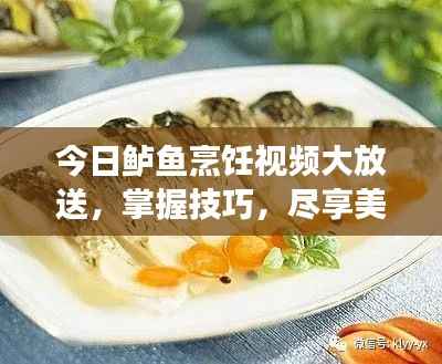 今日鲈鱼烹饪视频大放送，掌握技巧，尽享美味佳肴下载