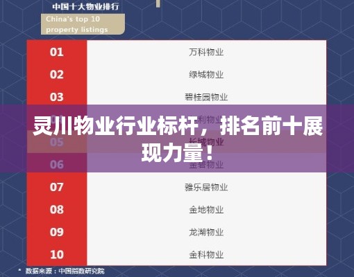 灵川物业行业标杆，排名前十展现力量！
