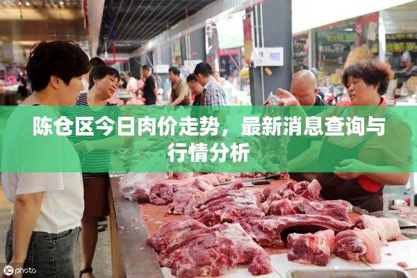 陈仓区今日肉价走势，最新消息查询与行情分析