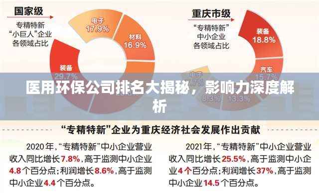 医用环保公司排名大揭秘，影响力深度解析