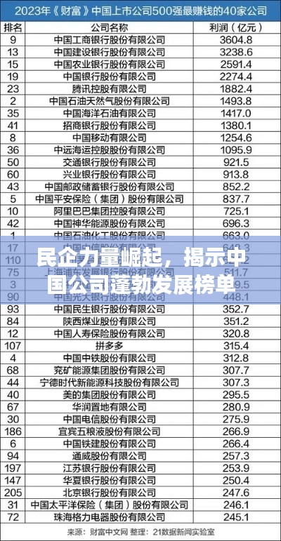 民企力量崛起，揭示中国公司蓬勃发展榜单