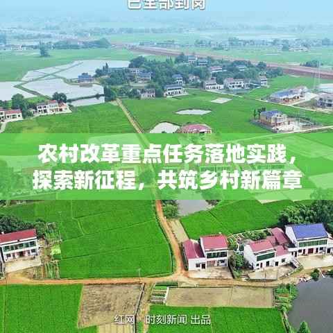 农村改革重点任务落地实践,探索新征程,共筑乡村新篇章