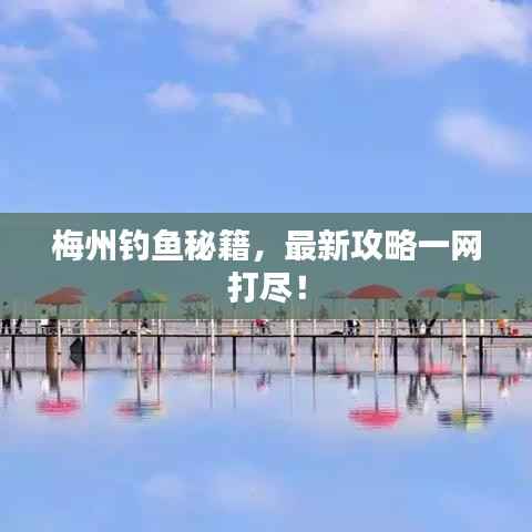梅州钓鱼秘籍,最新攻略一网打尽!