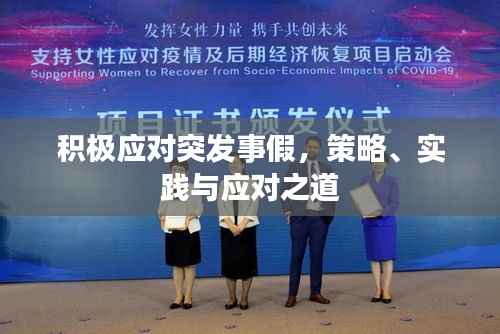 积极应对突发事假,策略、实践与应对之道