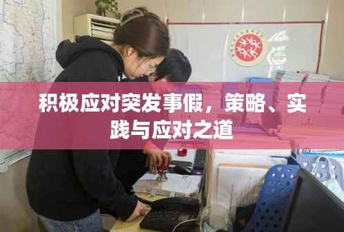 积极应对突发事假,策略、实践与应对之道