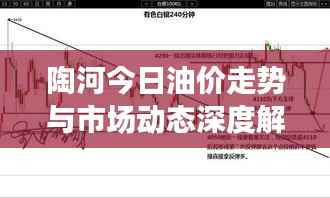 陶河今日油价走势与市场动态深度解析
