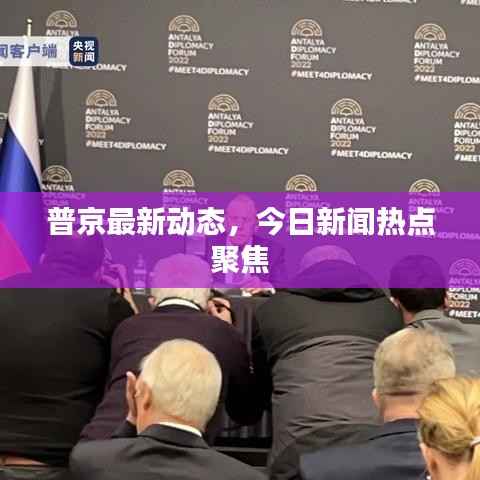 普京最新动态，今日新闻热点聚焦
