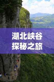 湖北峡谷探秘之旅，最新攻略指南