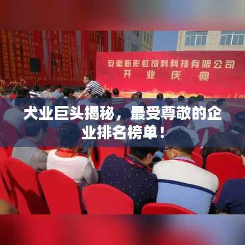 犬业巨头揭秘,最受尊敬的企业排名榜单!