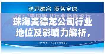 珠海麦德龙公司行业地位及影响力解析,排名与实力揭秘